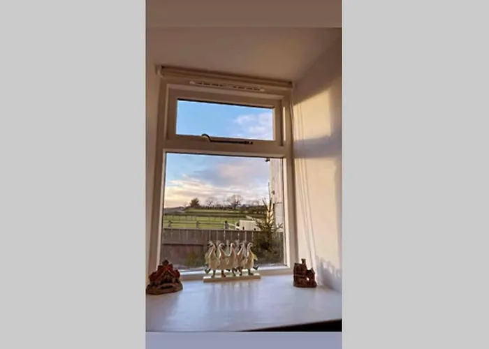Phil\'S Cottage Sleeps 2 One Dog By Prior Permission