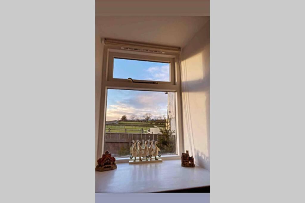 Phil's Sleeps 2 One Dog By Prior Permission Holiday home Barnard Castle