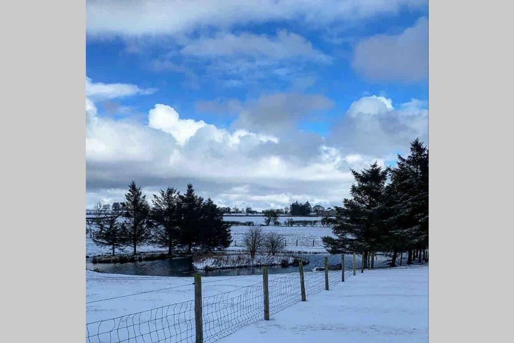 Phil's Sleeps 2 One Dog By Prior Permission Barnard Castle